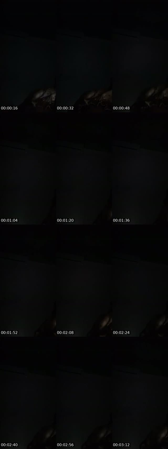 @boss.love449 TikTok live