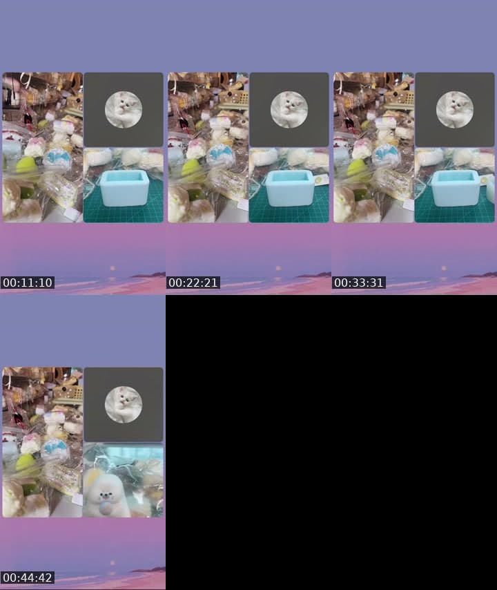 @user9607516127815 TikTok live stream