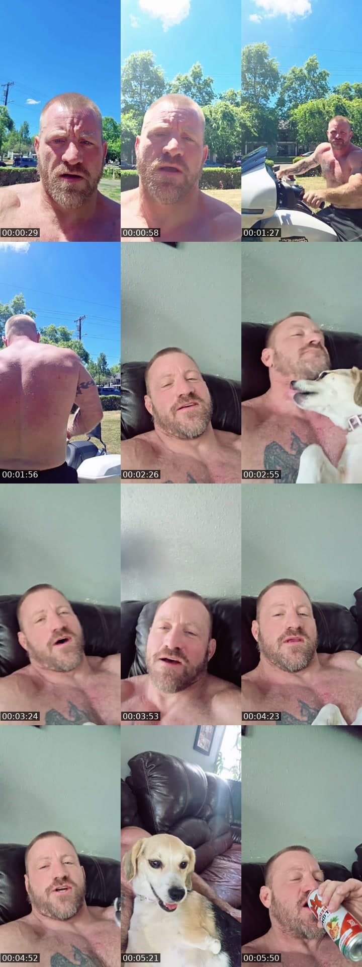 @jpankey TikTok live stream