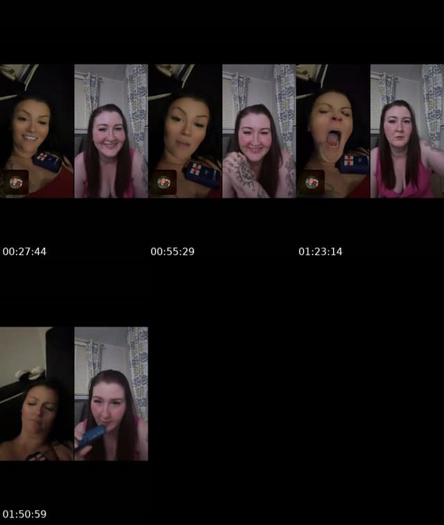 TikTok live: Sheep for the welshy baaa🐑 by @steviejames8
