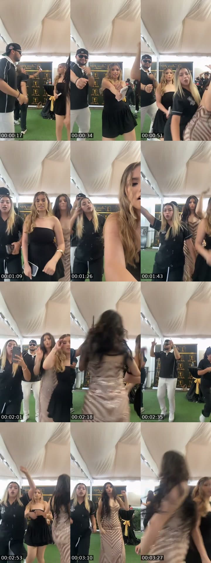 @daleniszam TikTok live stream