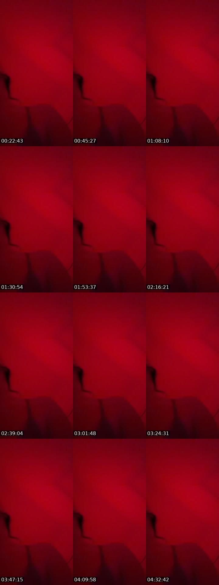 @maceylea4 TikTok live stream