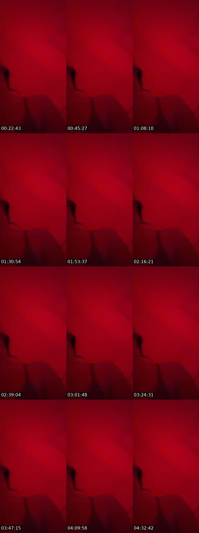 @maceylea4 TikTok live from 2026-07-03