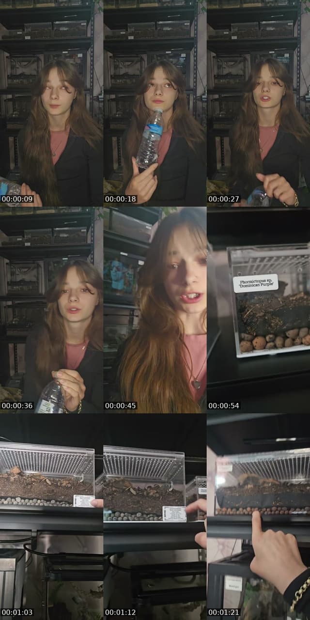 TikTok live: WARNING EXOTIC PETS-(I'm 19) by @skys.animal.zoo