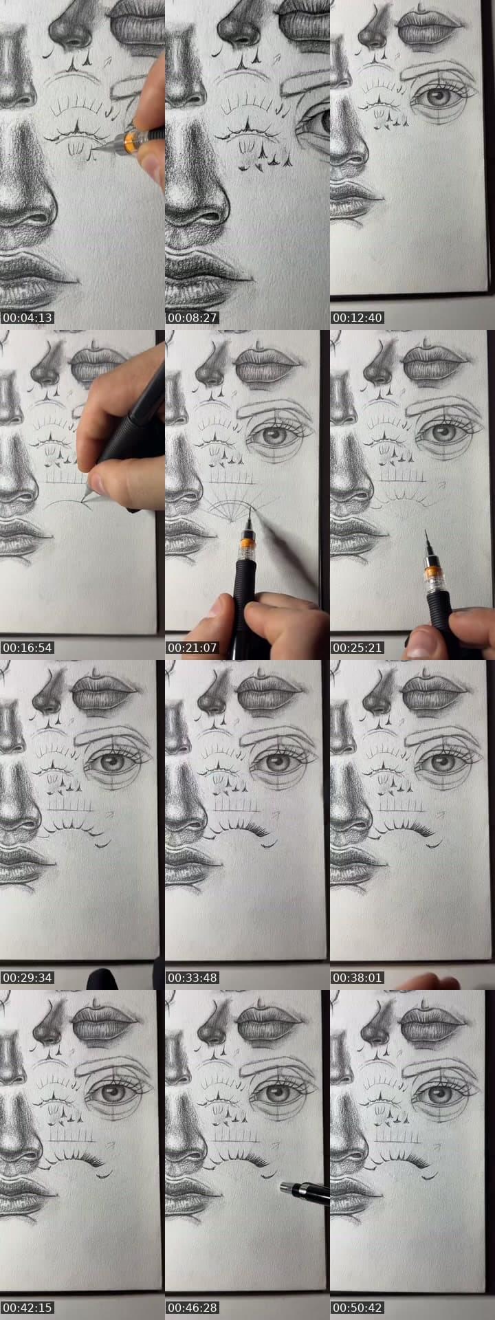 ‏تعليم البورترية 🤍🎨