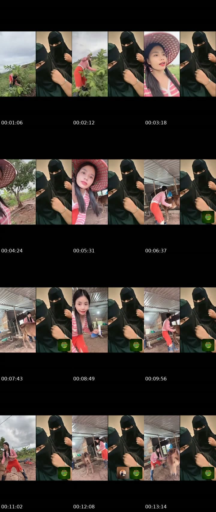 @nhuylee.2000 TikTok live stream