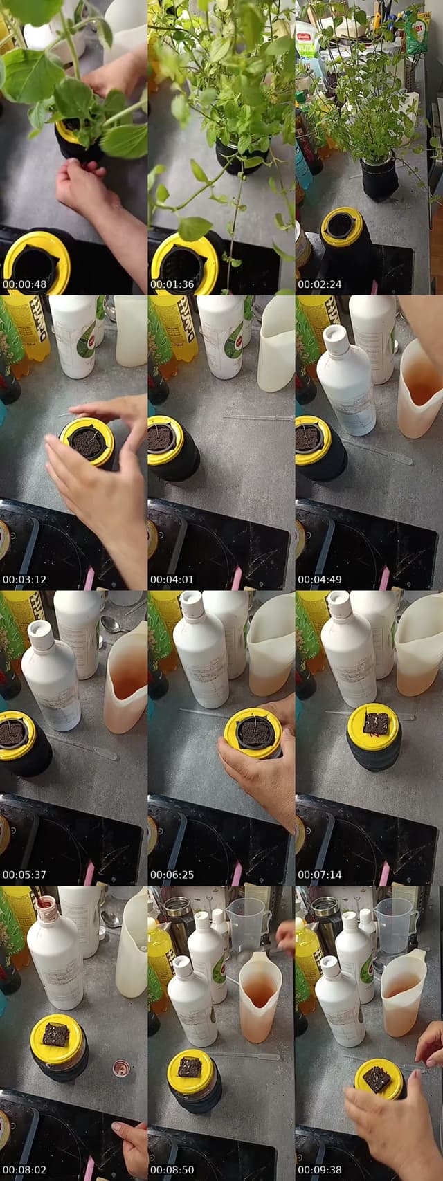 @www.lubosbailador.com TikTok live from 2026-07-04