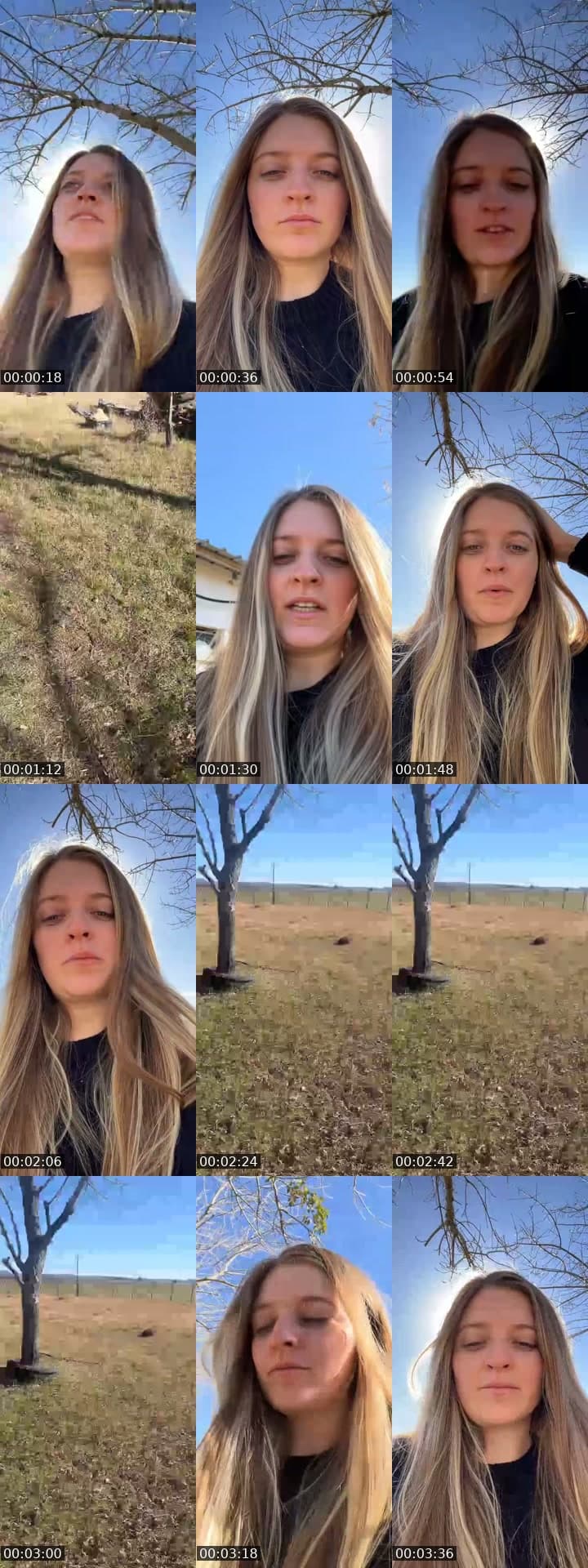 Día de campo