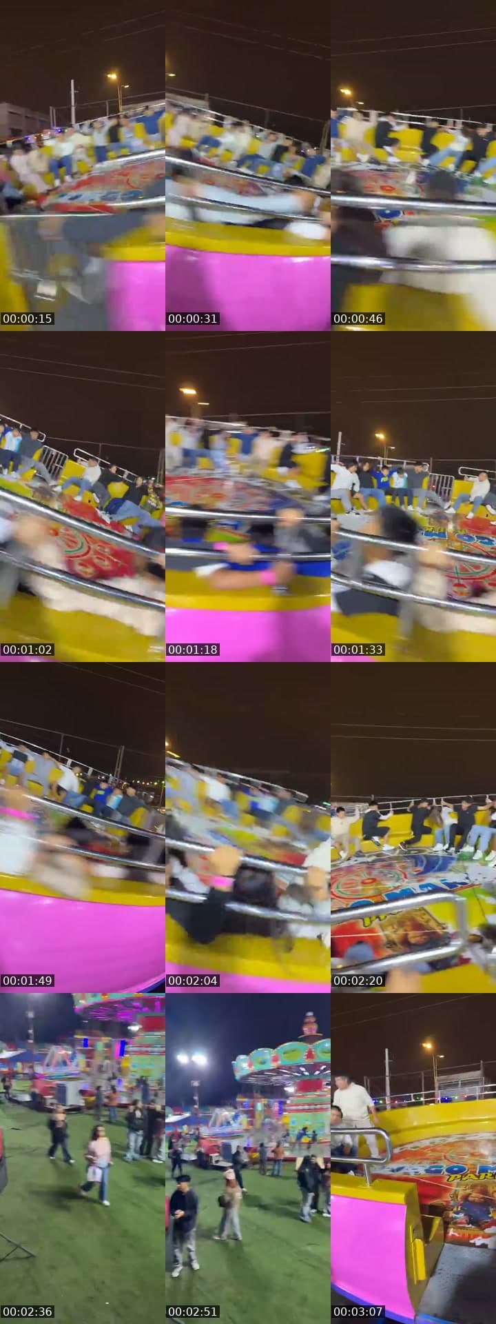 Juego manía Park