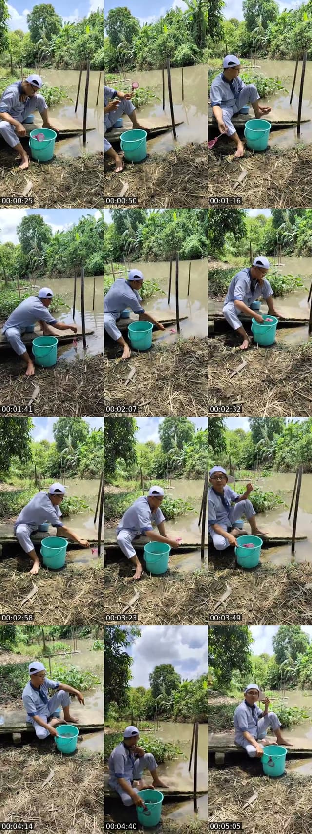 @truong9087 TikTok live