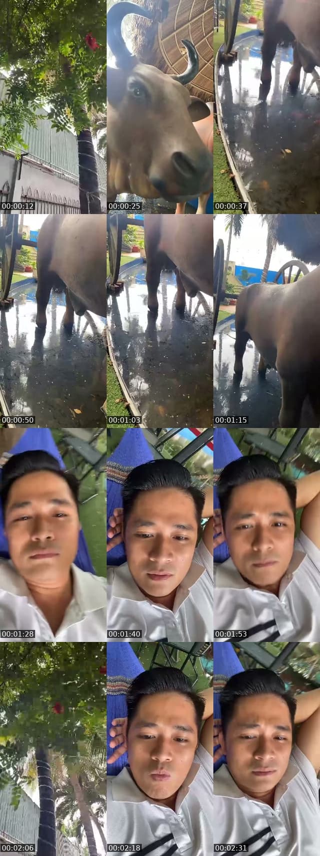 @cuongka.tiktok TikTok live