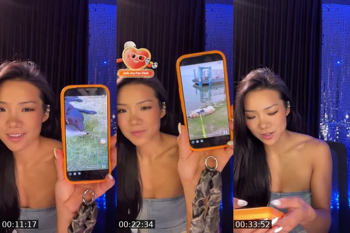 @summerdoesnotlikewinter TikTok live stream