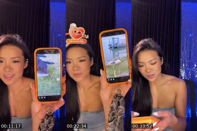 @summerdoesnotlikewinter TikTok live