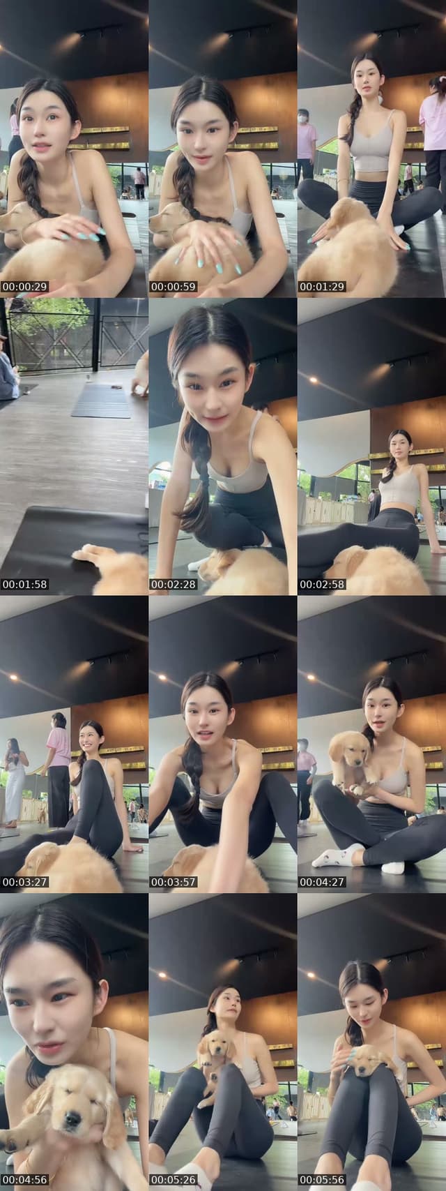 Fight for my PHD中文/英 - @bubbletaylor1