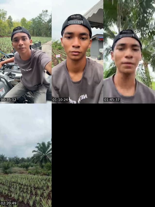 TikTok live: gear box by @zara_zahara13