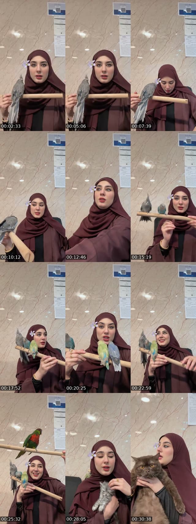 @fatimaalhawaj94 TikTok live