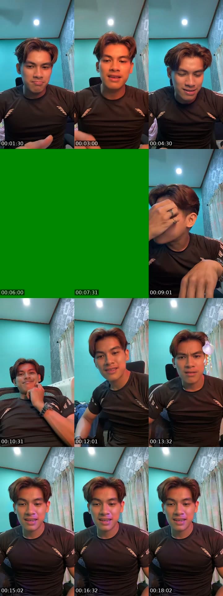 Lepak kot