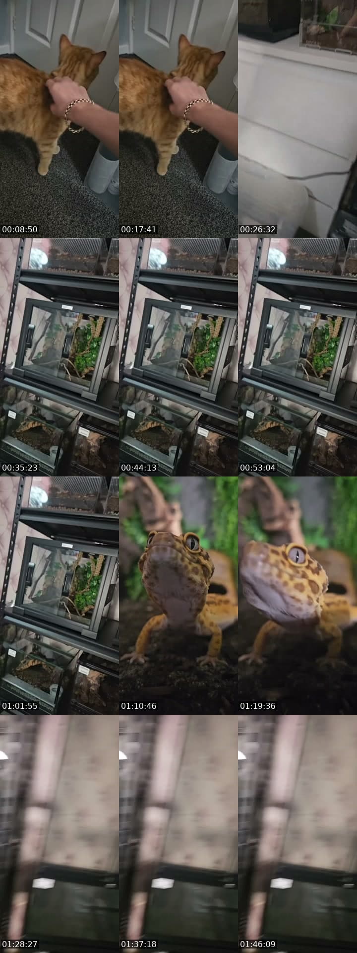 WARNING EXOTIC PETS-(I'm 19)