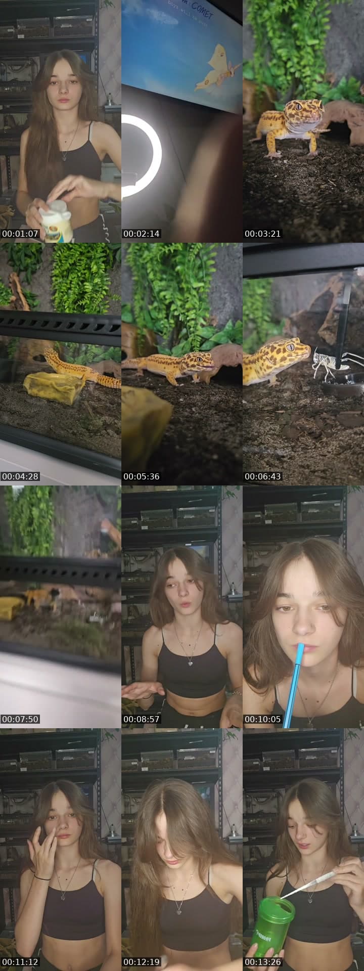 WARNING EXOTIC PETS-(I'm 19)