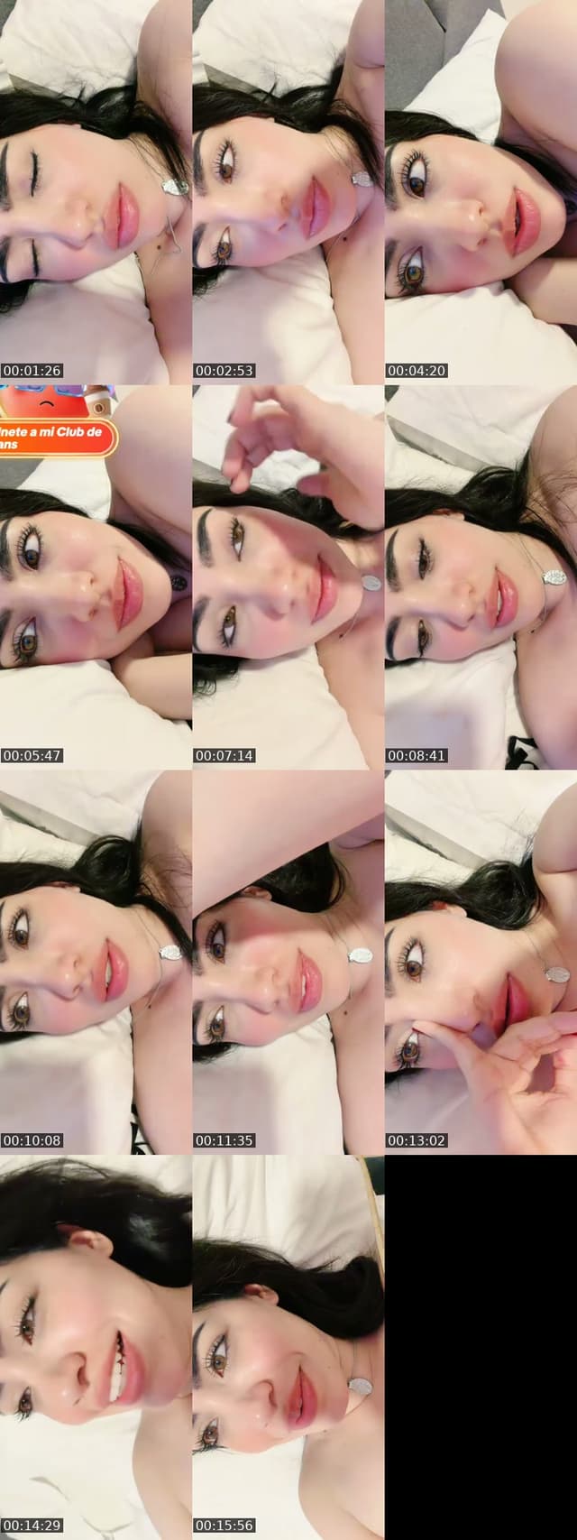 TikTok live: Volvimos? by @halnat