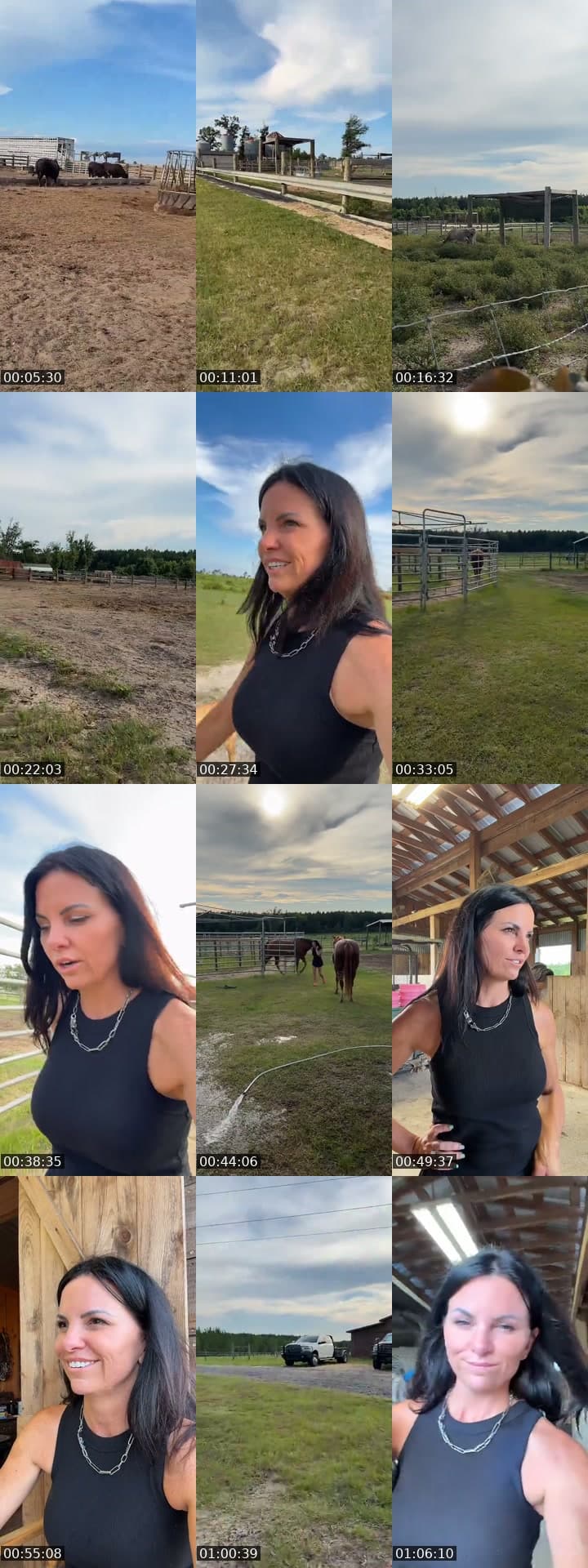 Sundown Cattle Co