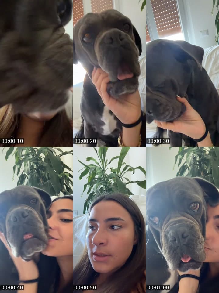 @clickquaglio TikTok live stream