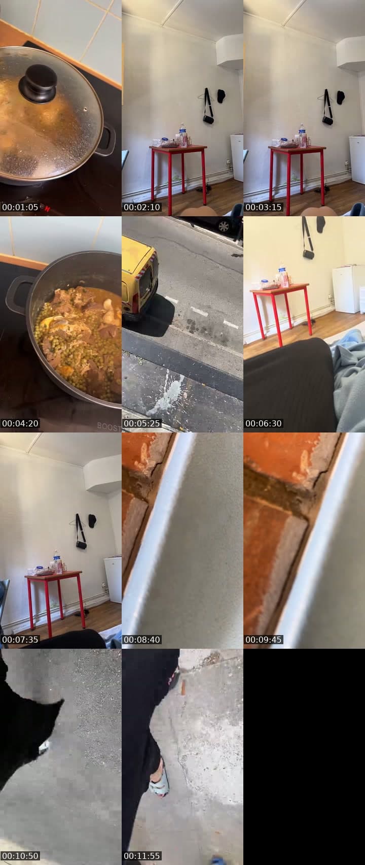 Bonjour 👋🦋🦋