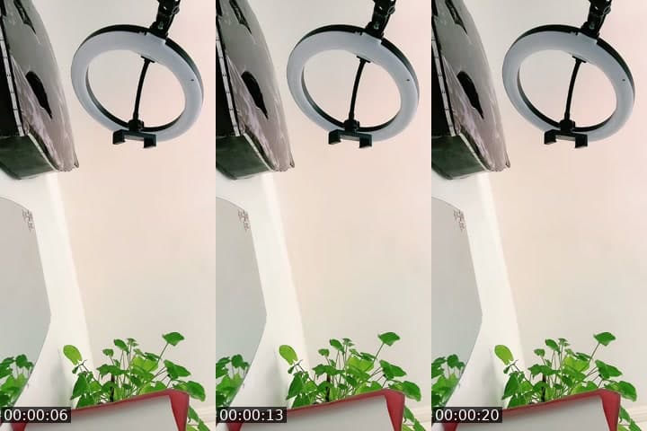 @windeerccs TikTok live stream