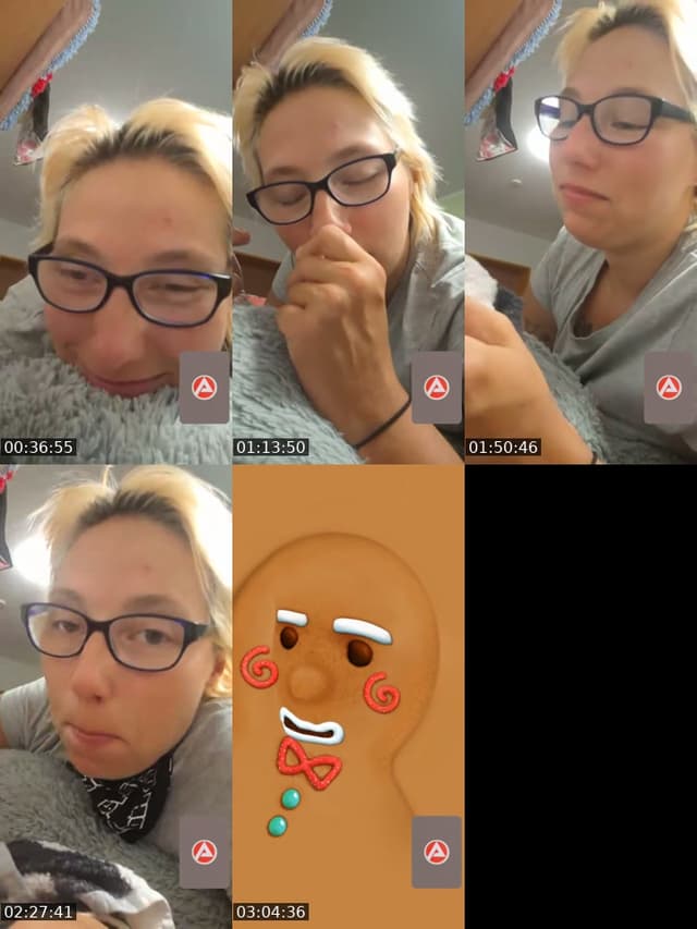 @diewildehildemaus TikTok live