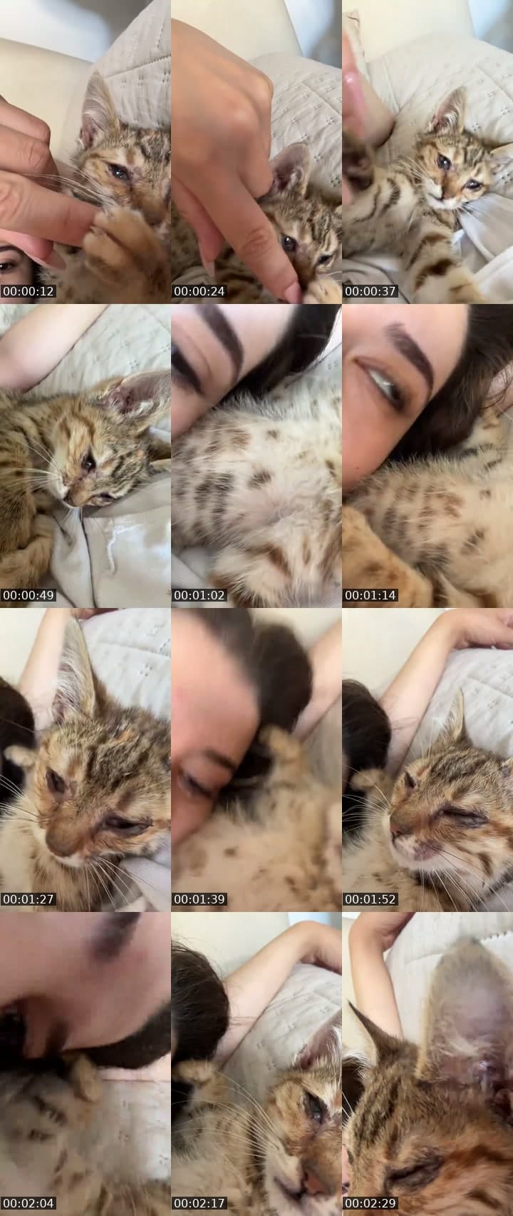 @yavrunuzxx TikTok live stream