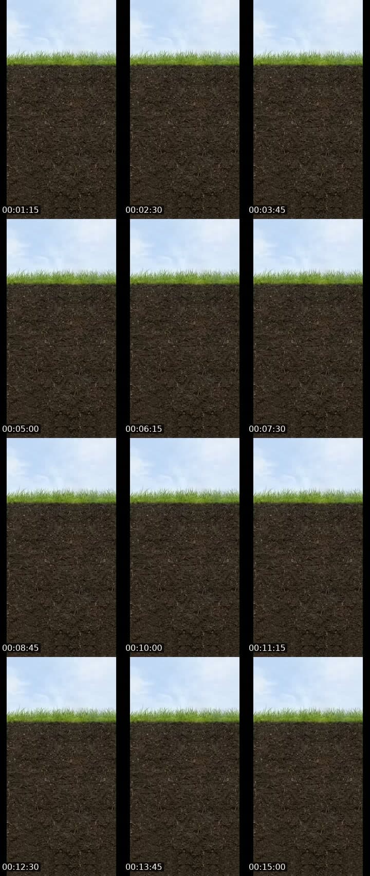 @smith.oliver4 TikTok live stream
