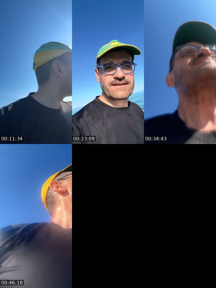 @fredericbourdin TikTok live stream