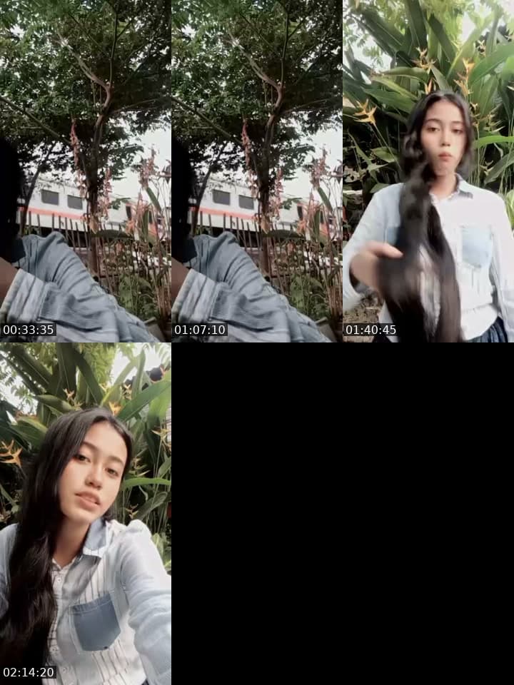 haloo