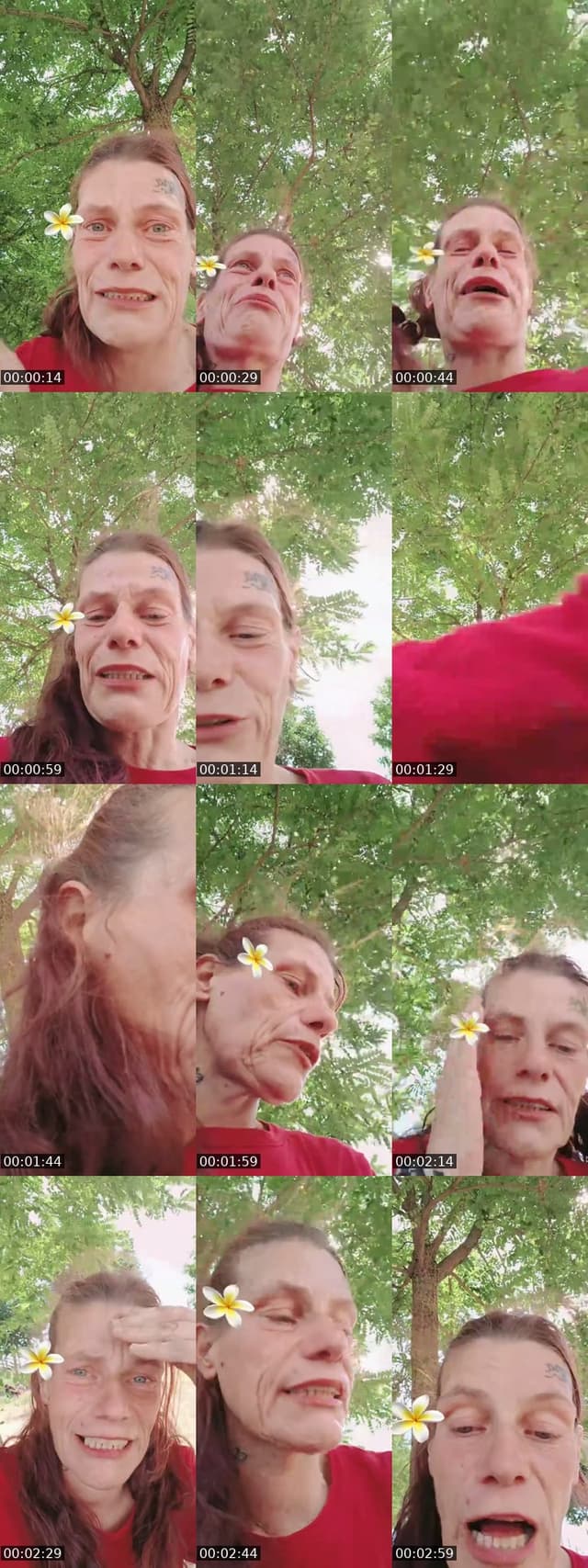 Netherlands TikTok live: kijker kiest storytime by @taschaluna0