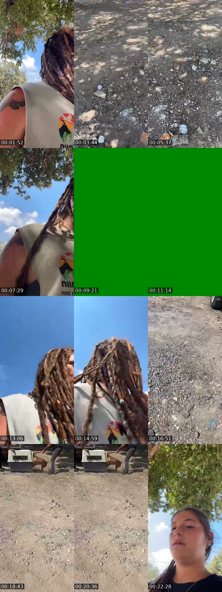 @shanti.farm.rescue TikTok live stream