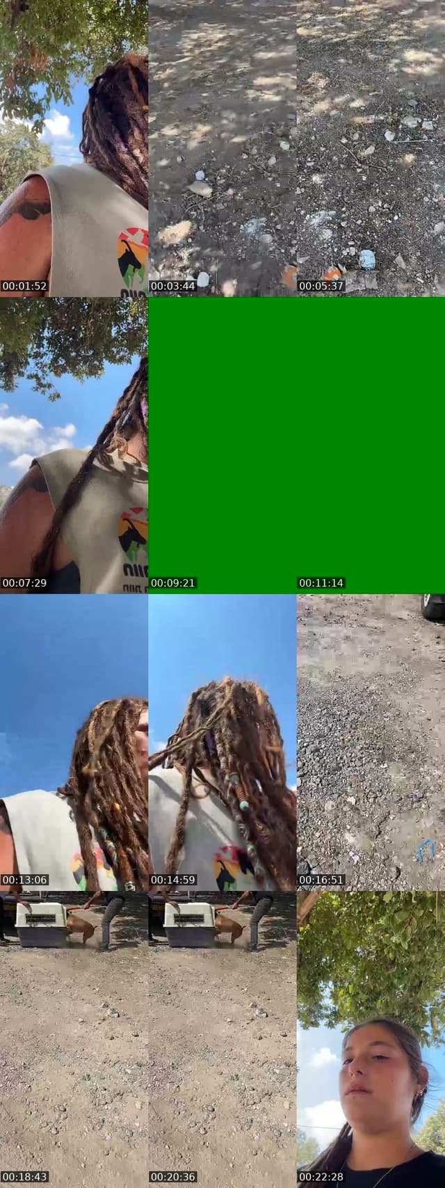 @shanti.farm.rescue TikTok live