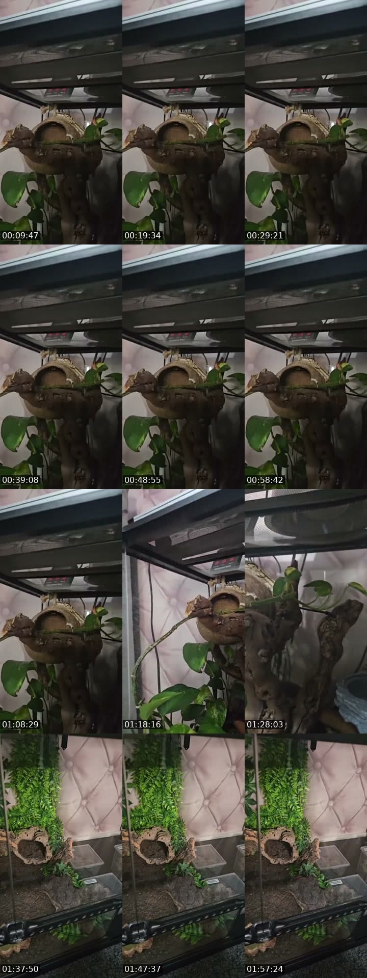 WARNING EXOTIC PETS-(I'm 19)