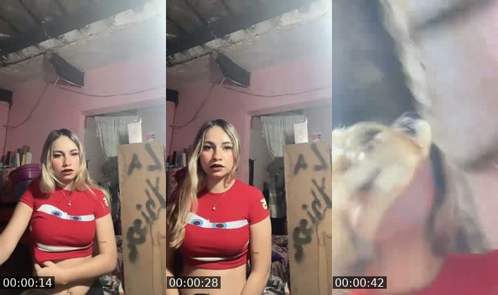 Volvii