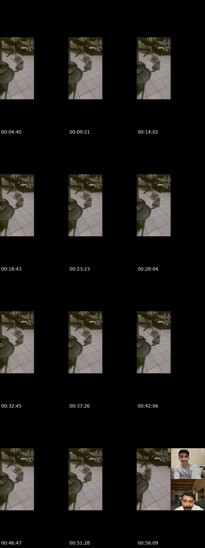 @doctor0081 TikTok live stream