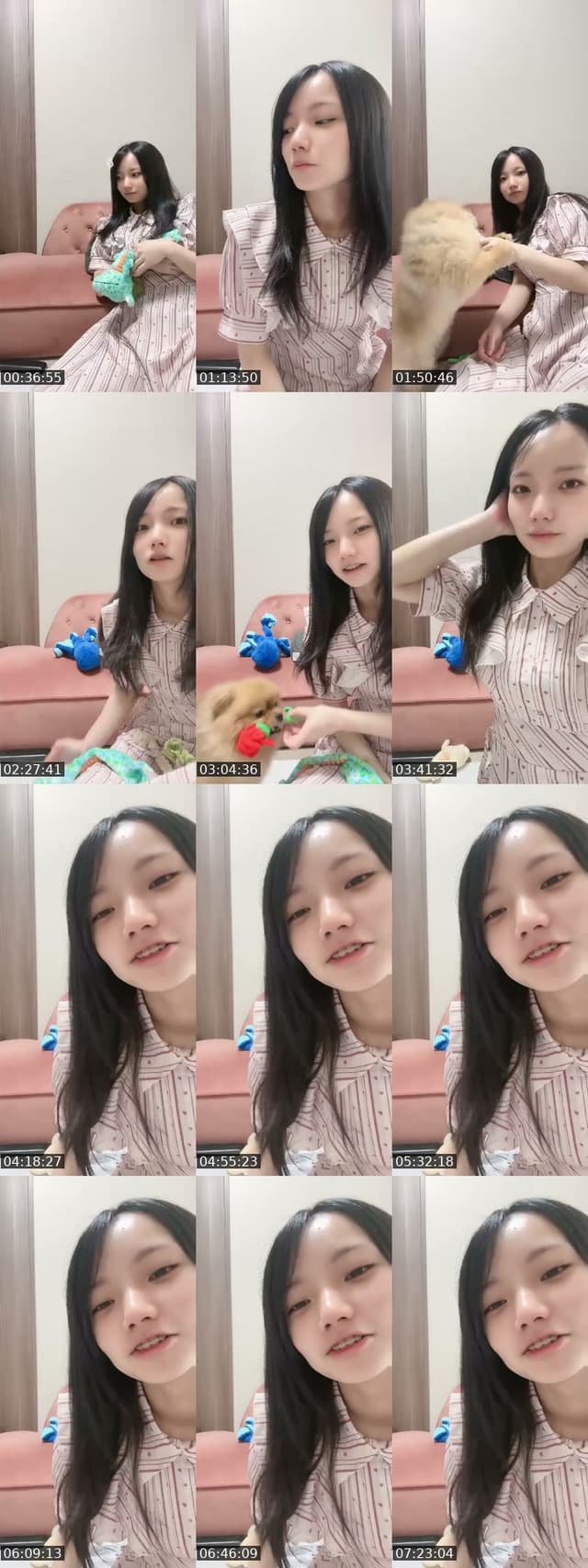 Japan TikTok live: わんわん by @omochi00mochimochi
