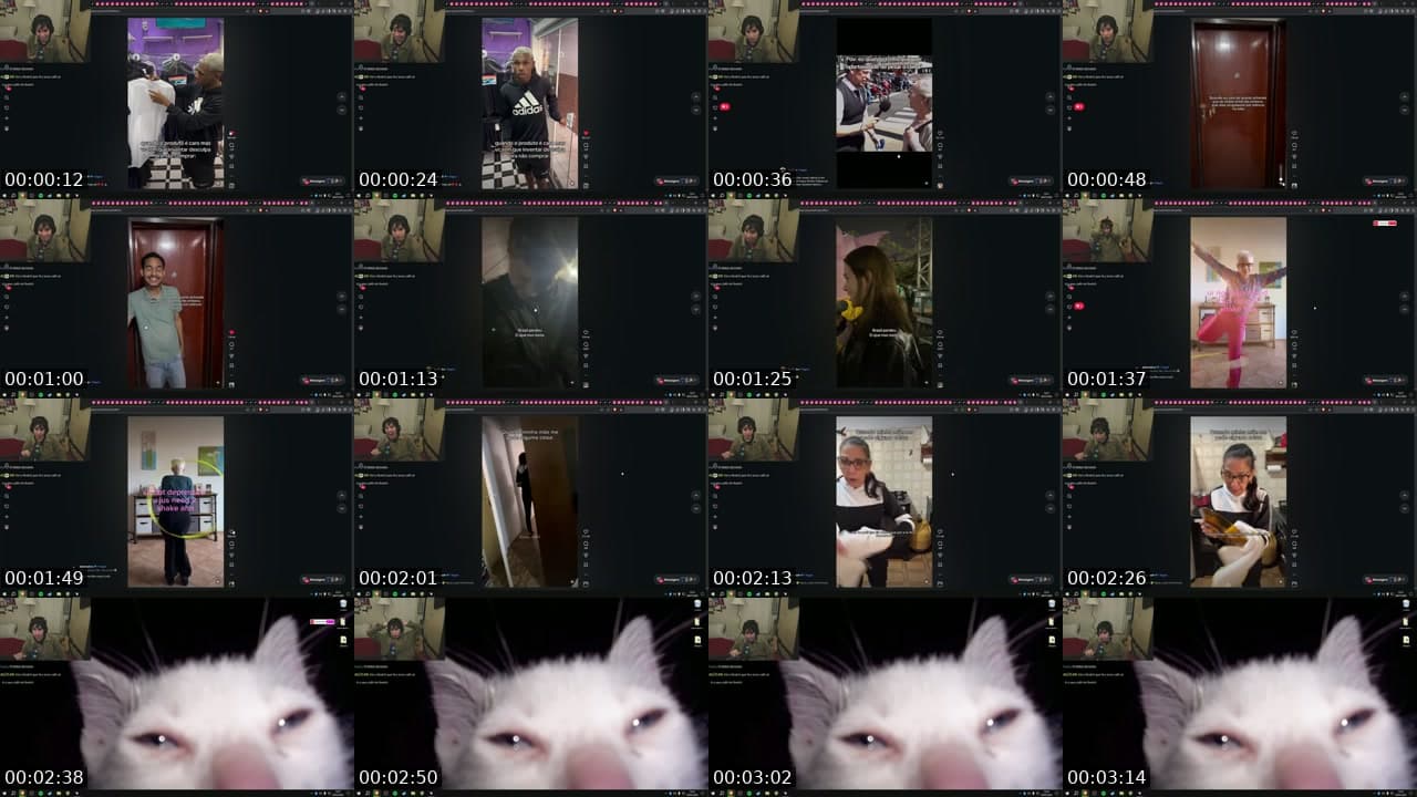mine com o chats vice