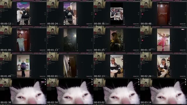 Brazil TikTok live: mine com o chats vice by @andreexiste