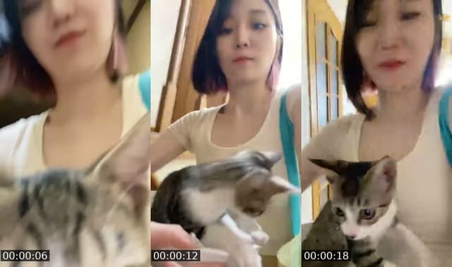 TikTok live: 0708おつかれさま by @nyanchanuniverse