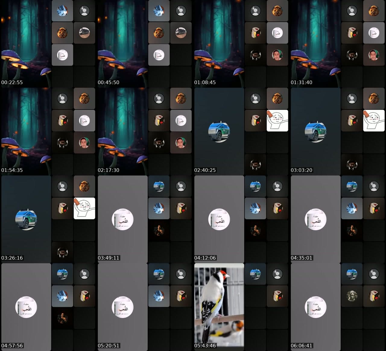 @youssef.ds TikTok live stream