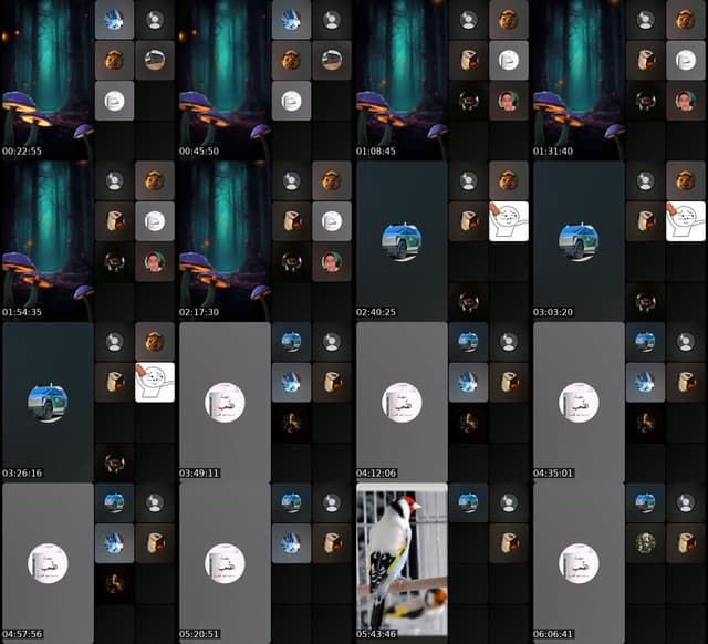 @youssef.ds France TikTok live from 2026-07-08