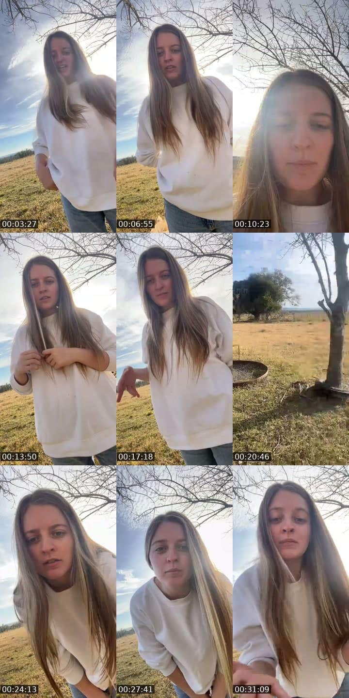Día de campo