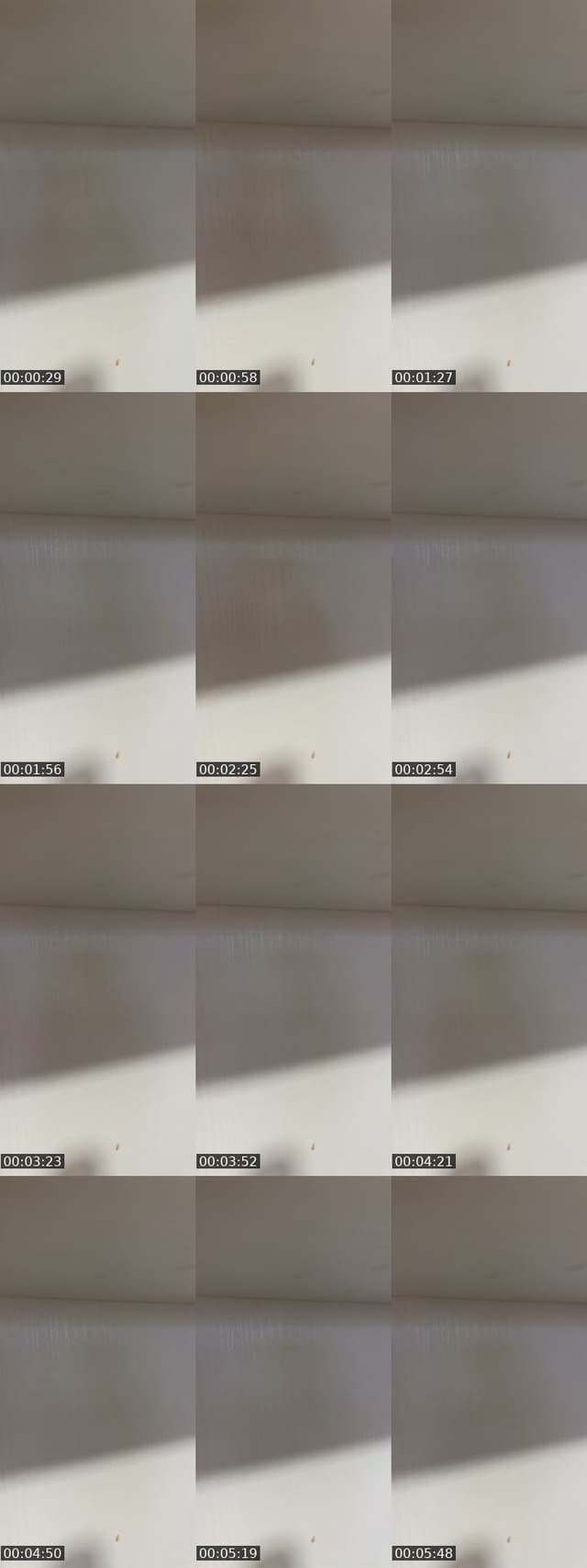 @rick.grimes428 TikTok live