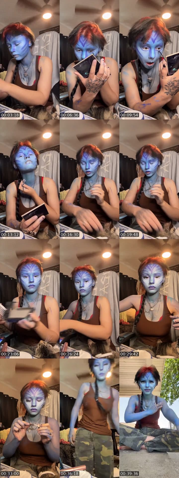 Avatar makeup