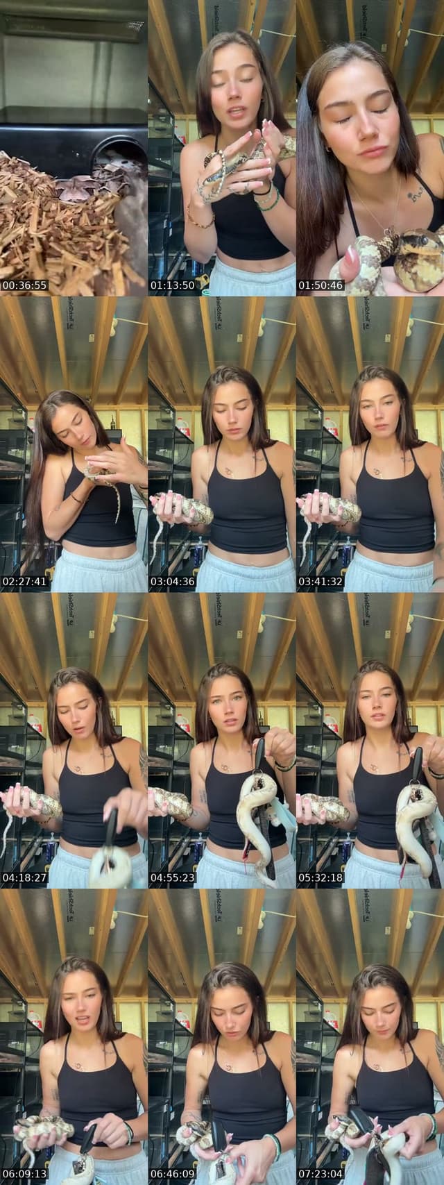 TikTok live: Don’t be shy! by @mommafitkay