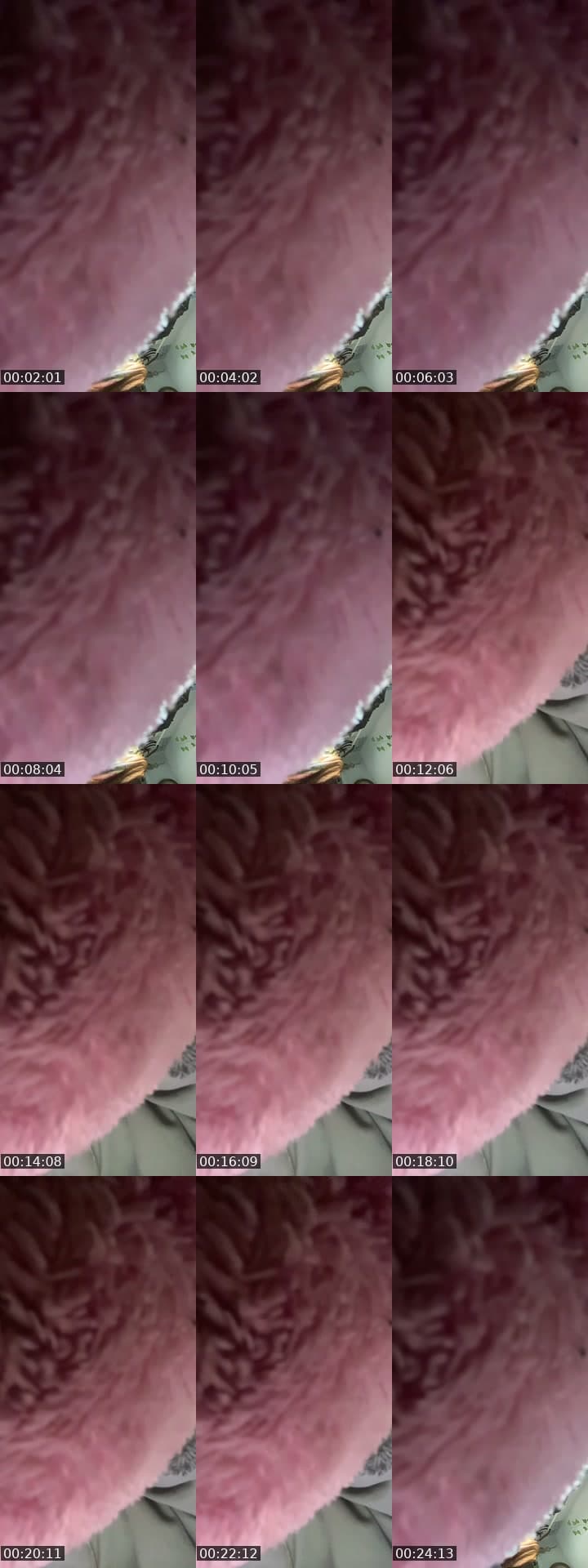 @bug_ho3 TikTok live stream